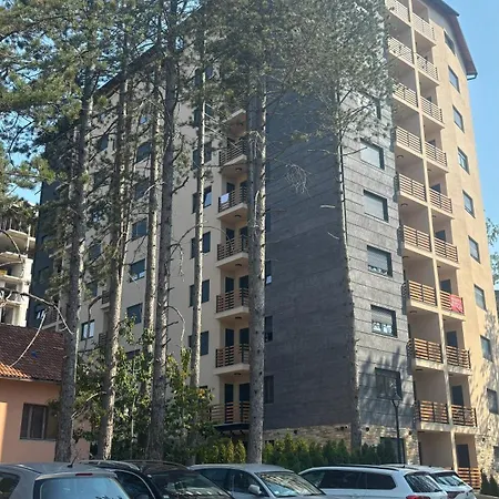 Divine Lux * זלאטיבור